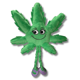 My Name is Mary Jane, Cute Stuffed Parody Marijuana Leaf Dog Toy, Funny Squeaky Weed Toy, Cool Plush Novelty 420 Gift for Puppies & Small, Medium & La